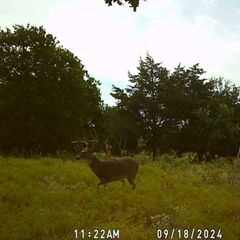 Photo by BR Outfitters