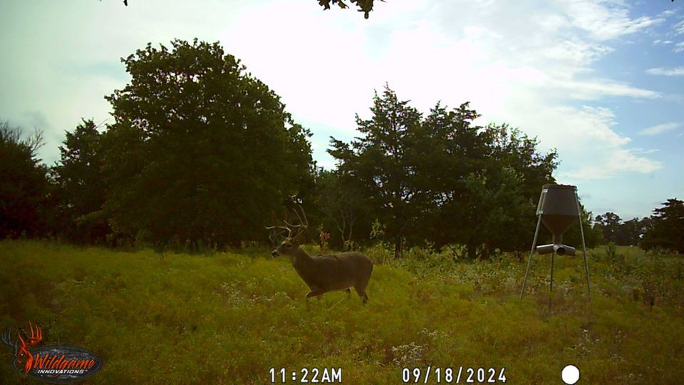 Enlarged photo by BR Outfitters