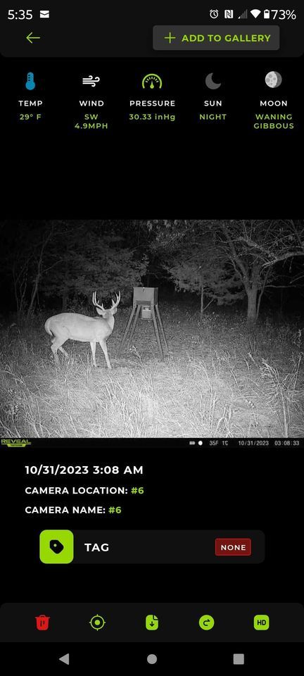 Enlarged photo by BR Outfitters