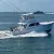 Hatteras Blue Sportfishing