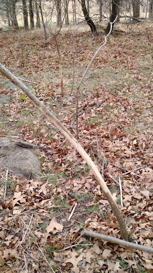 Enlarged photo by BR Outfitters