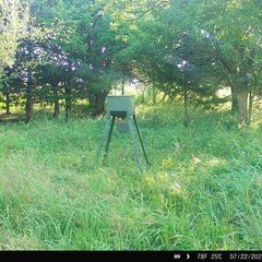 #2, 3, 4, 5, and 6 are now operational. #2 and #5 are card cameras only. As you know, we are isolated so cell coverage is...