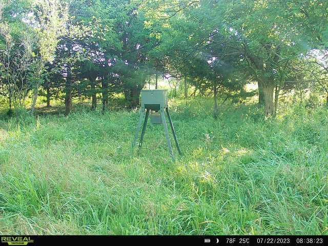 #2, 3, 4, 5, and 6 are now operational. #2 and #5 are card cameras only. As you know, we are isolated so cell coverage is...