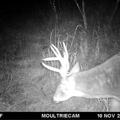 Photo by BR Outfitters