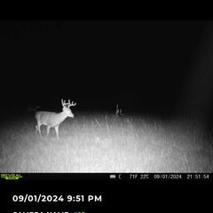 Photo by BR Outfitters