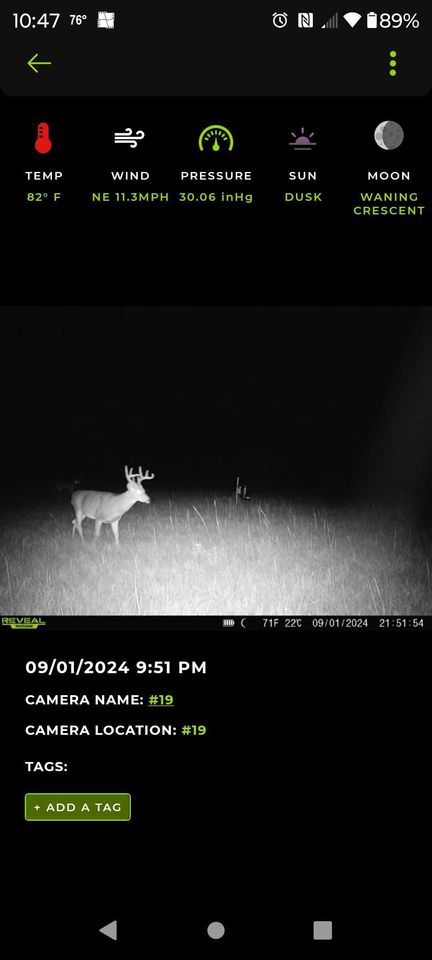 Enlarged photo by BR Outfitters