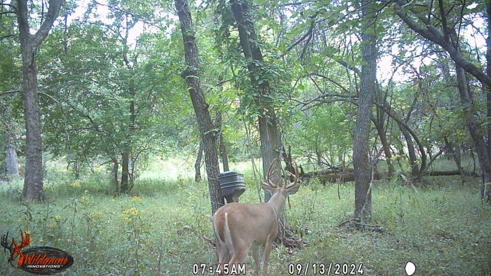 Enlarged photo by BR Outfitters