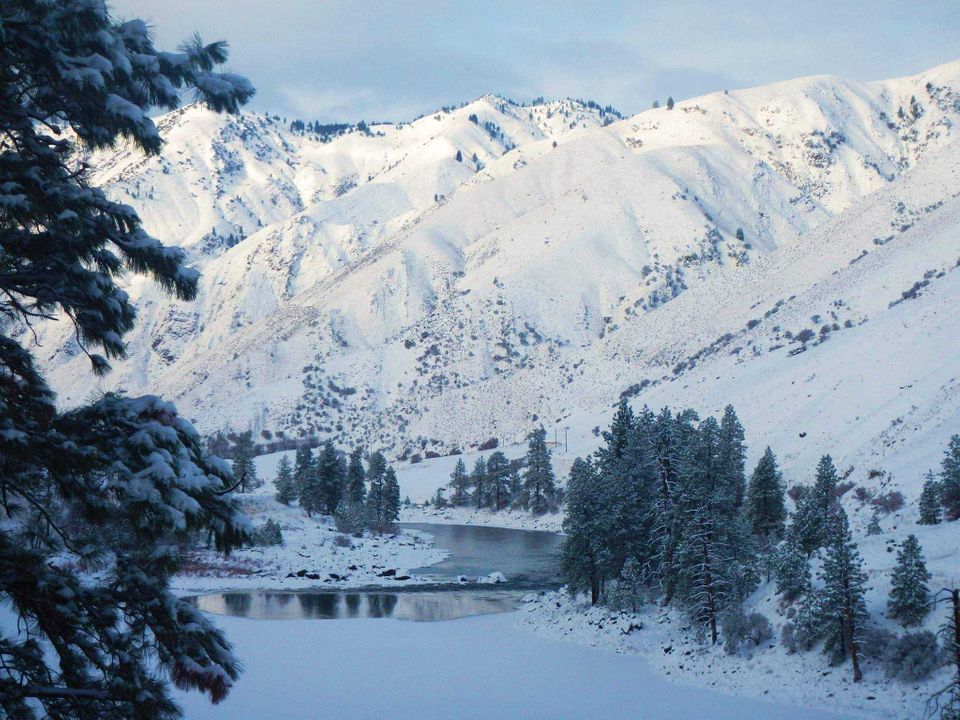 Enlarged photo by Wapiti River Guides