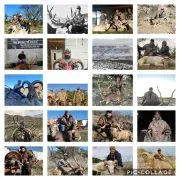 West Texas Hunt Org. (WTHO)