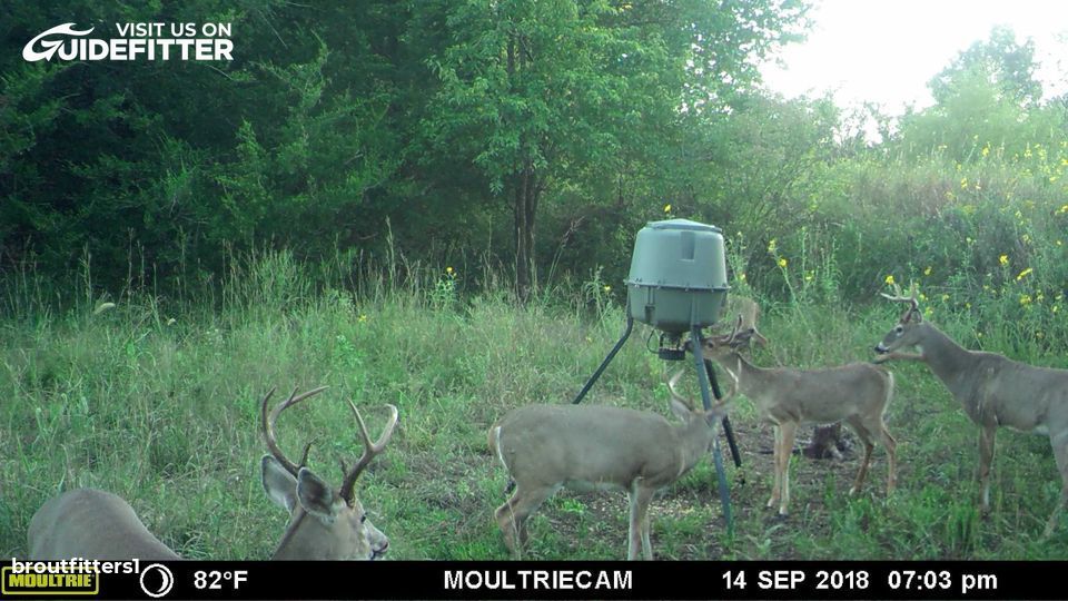 Enlarged photo by BR Outfitters