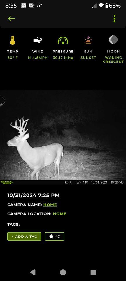 Enlarged photo by BR Outfitters