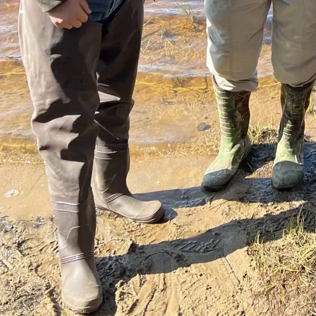These hip boots did exactly what I needed them to do: kee...