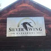 Silver Wing Waterfowl