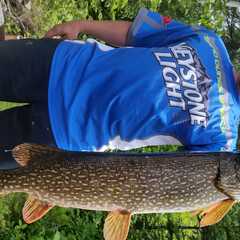 We offer a wide range of fishing and hunting opportunities from fly fishing northern pike to black bear hunting.  Day and...