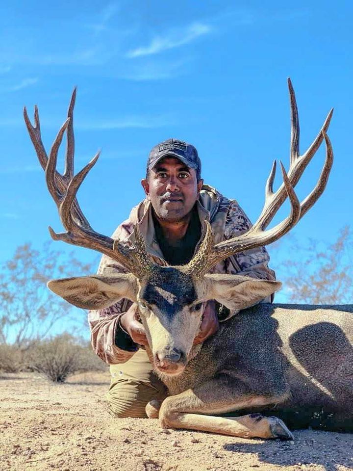 Mule Deer Hunting in Estado de Sonora Mexcan Outfitters