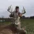 Monster Whitetail Outfitters