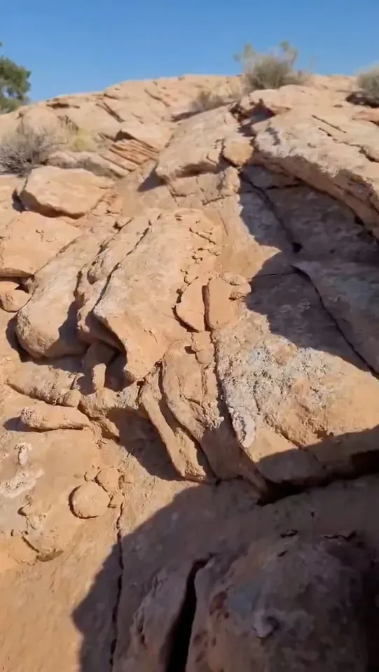 My Favorite Desert Hunting Shoe