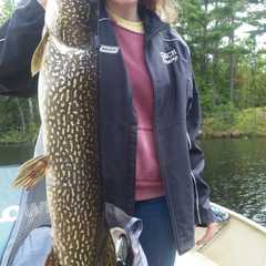 Photo by Basswood Trails Guide Service