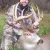 Illinois Trophy Bowhunters, Inc