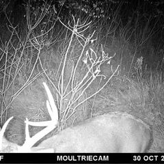 Photo by BR Outfitters