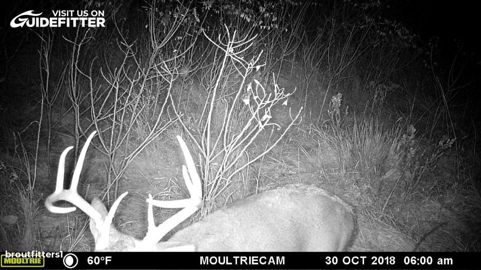 Enlarged photo by BR Outfitters