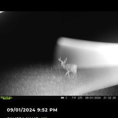 Photo by BR Outfitters