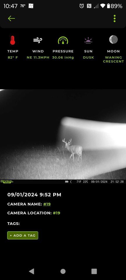 Enlarged photo by BR Outfitters