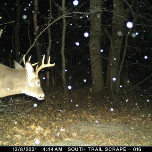 I have been using Cuddeback for about 2 years now.  I am ...