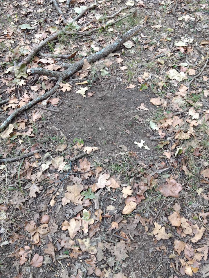 Enlarged photo by BR Outfitters