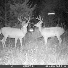 Photo by BR Outfitters