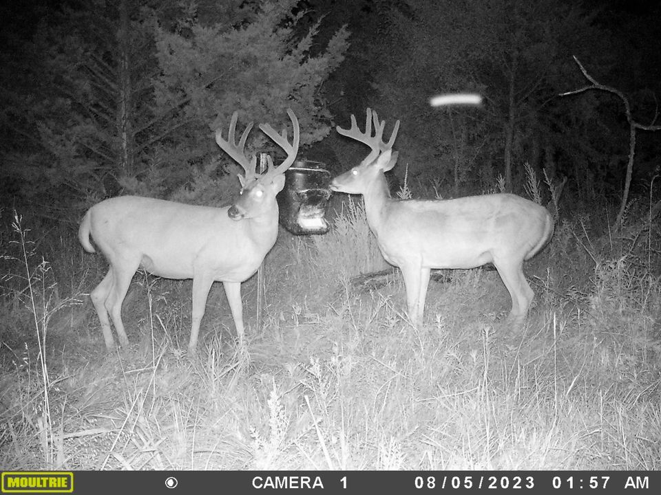 Enlarged photo by BR Outfitters