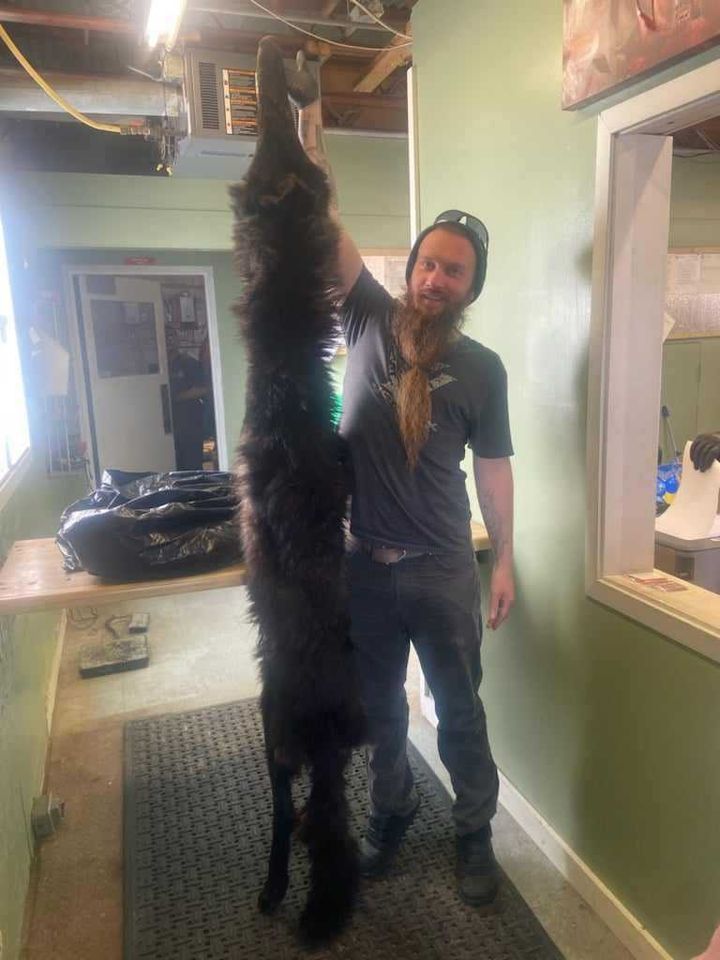 Enlarged photo by A-Team Outfitting