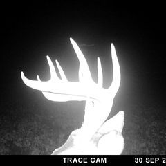 Photo by BR Outfitters