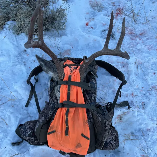 I've had this pack on my back every hunting season since ...