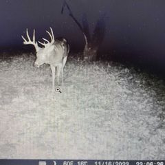 Photo by BR Outfitters