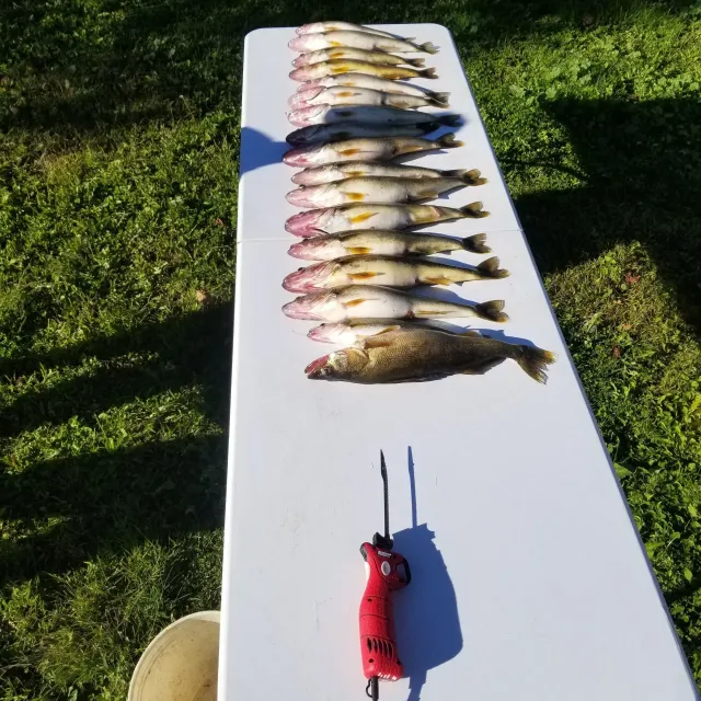 Review Bubba Electric Fillet Knife Replacement Blades Guidefitter