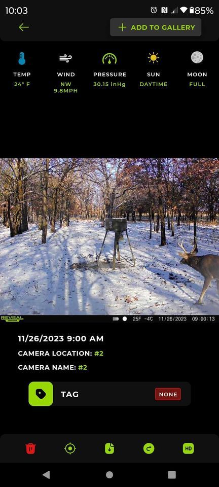 Enlarged photo by BR Outfitters