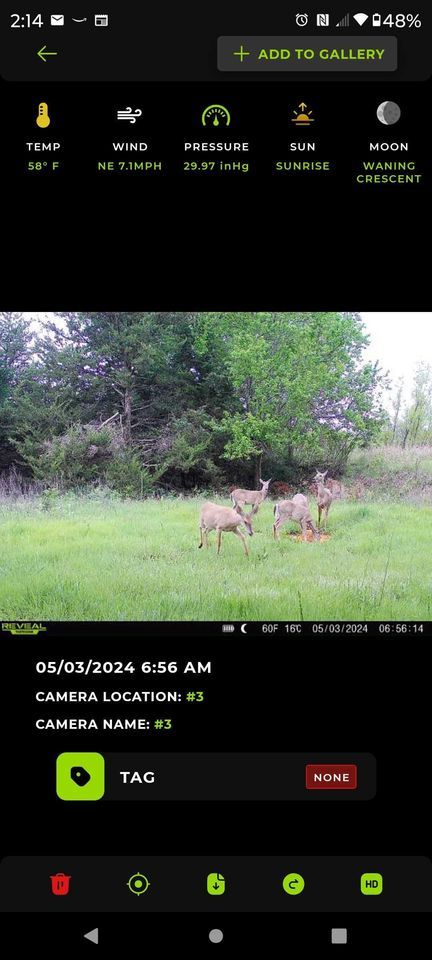 Enlarged photo by BR Outfitters