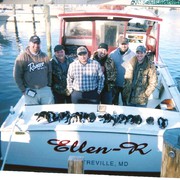 ELLEN-R  Charters