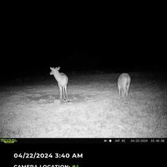 Photo by BR Outfitters