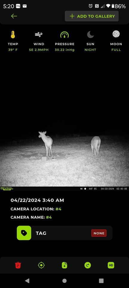 Enlarged photo by BR Outfitters