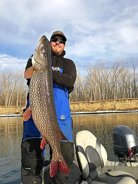 Pike Hook  Guidefitter