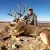 A3 Trophy Hunts New Mexico