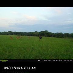 Photo by BR Outfitters