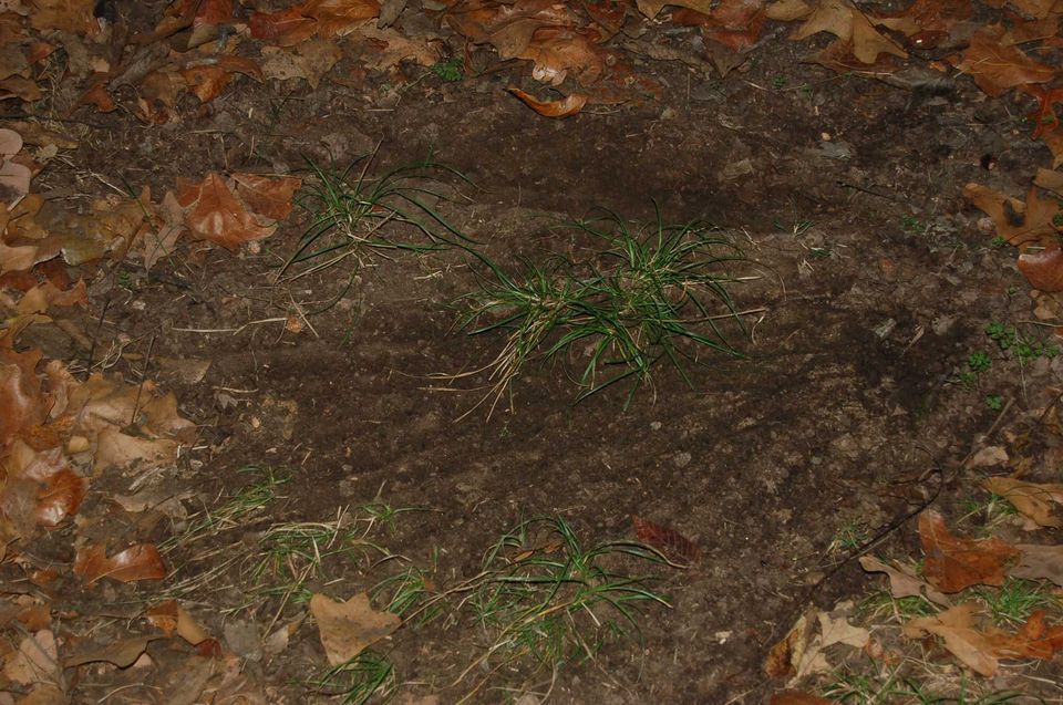 Enlarged photo by BR Outfitters