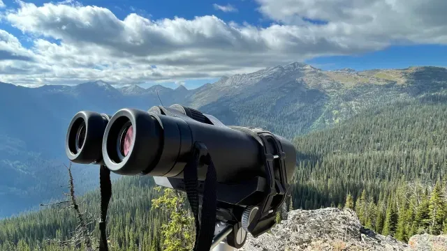 Optics cover
