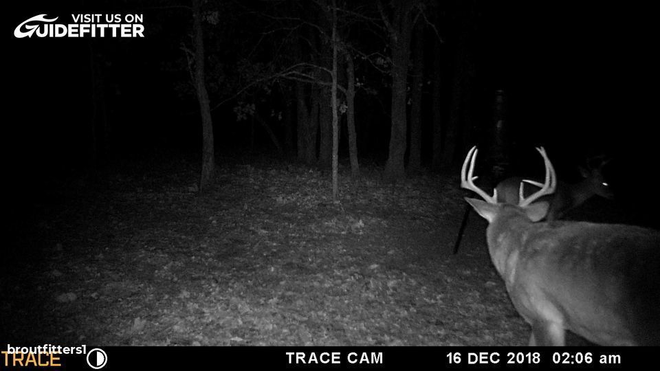 Enlarged photo by BR Outfitters