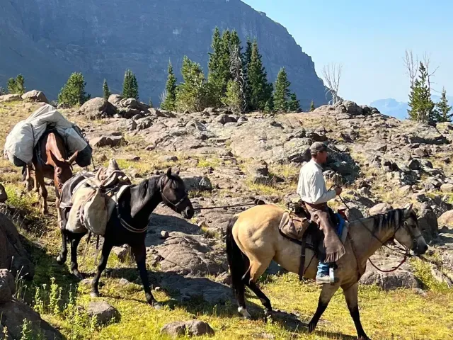 Backpacks & Gear cover