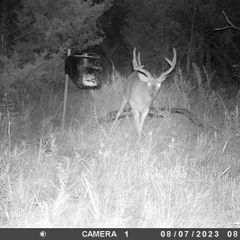 Photo by BR Outfitters