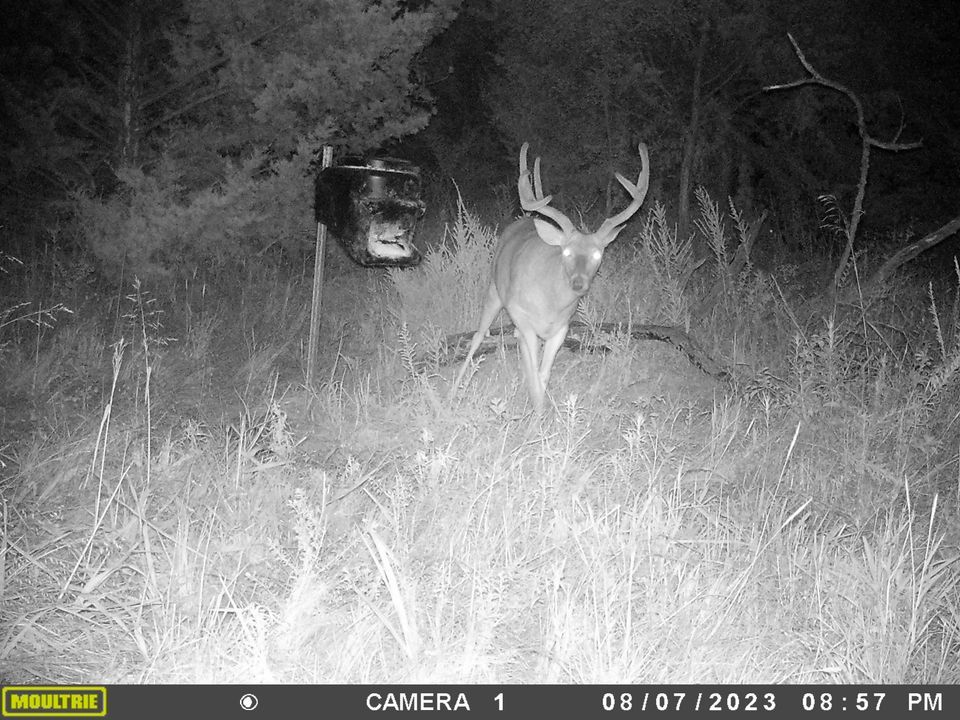 Enlarged photo by BR Outfitters